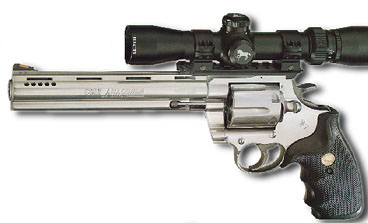 137_Colt_Anaconda%20with%20scope.jpg